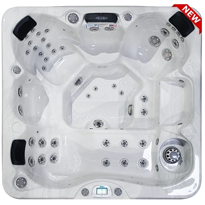 Avalon-X EC-849LX hot tubs for sale in Connecticut